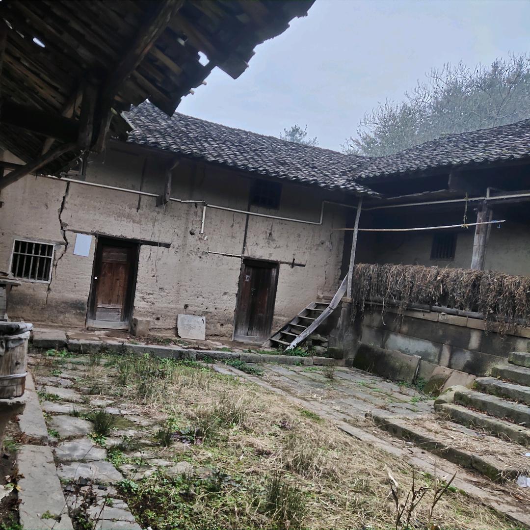 风火轮吖
