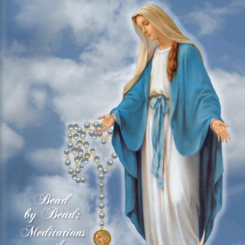 手机用户62343320072