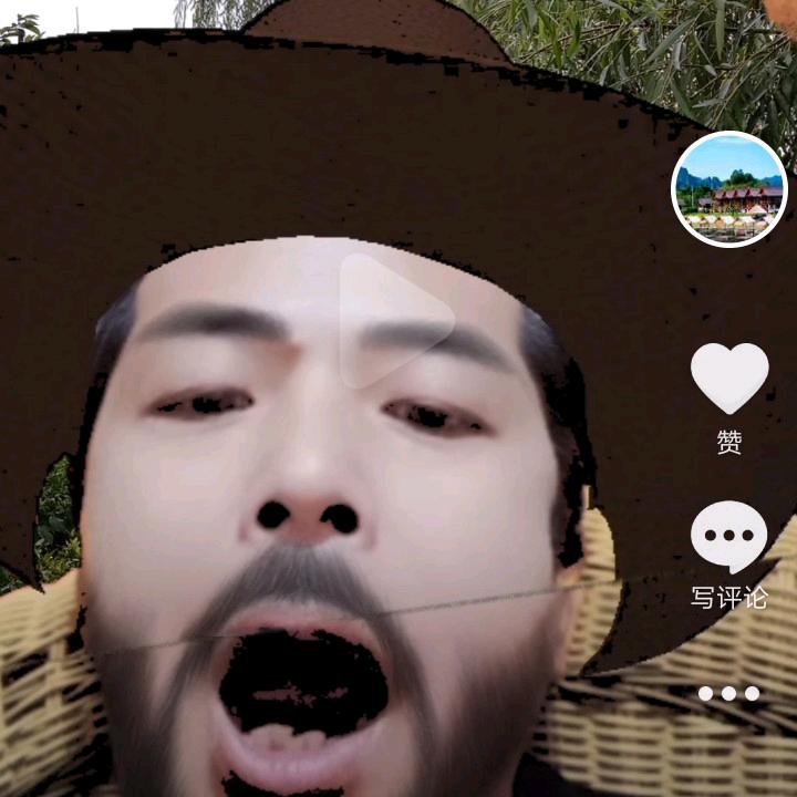 西部牛仔♛成都（水培试验）