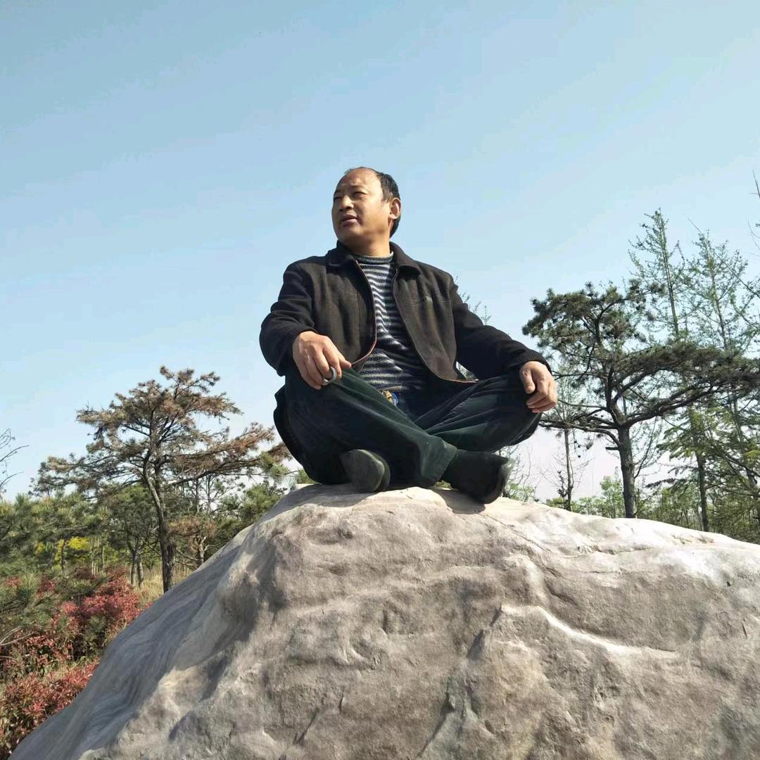 猫猫之奇奇怪怪