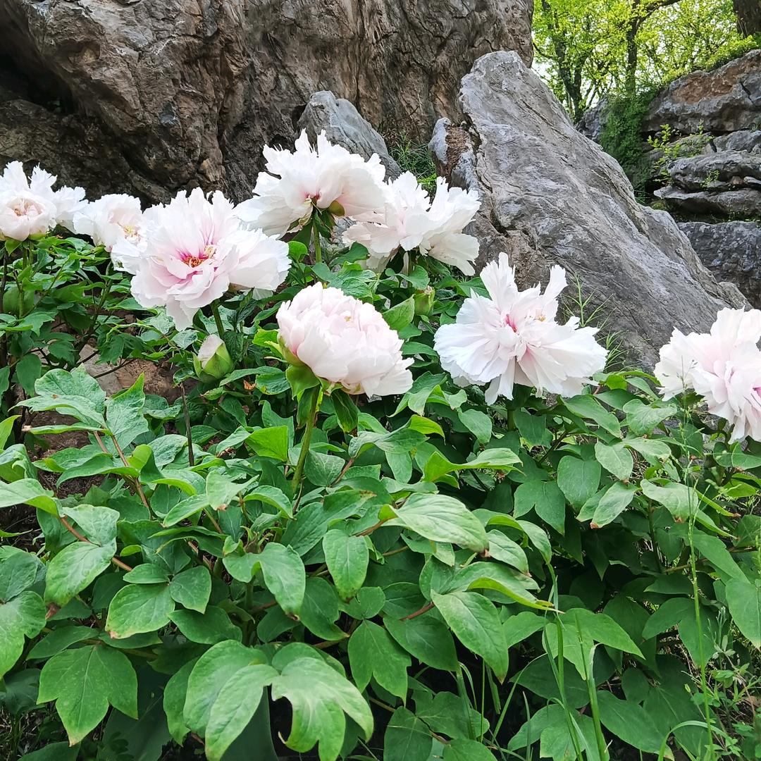 悠悠岁月