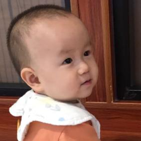 晓莲