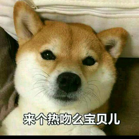 梦醒