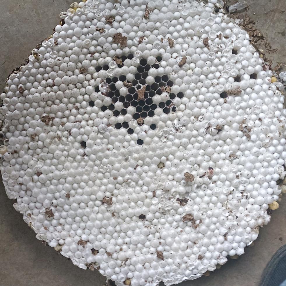 一心向钱别无它念