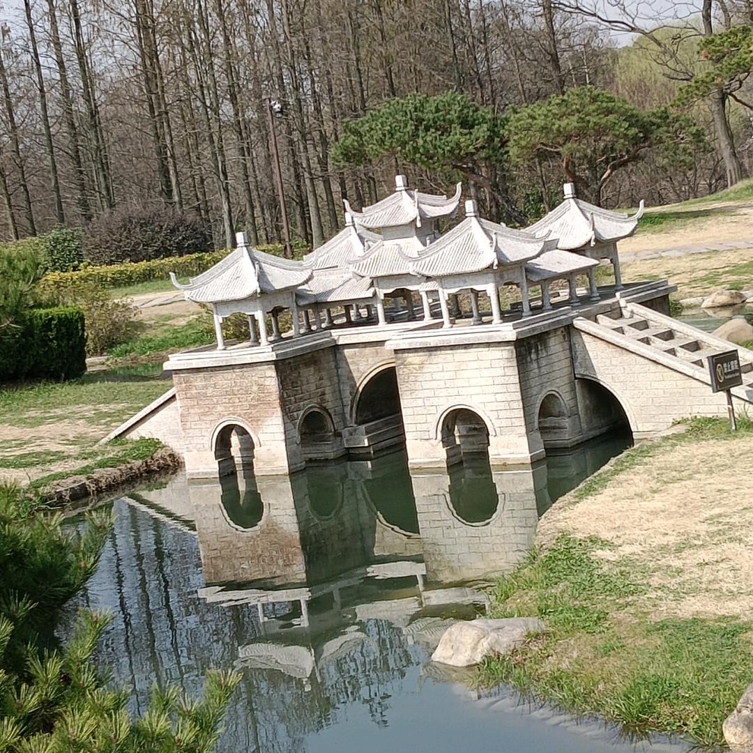 大胡子叔叔