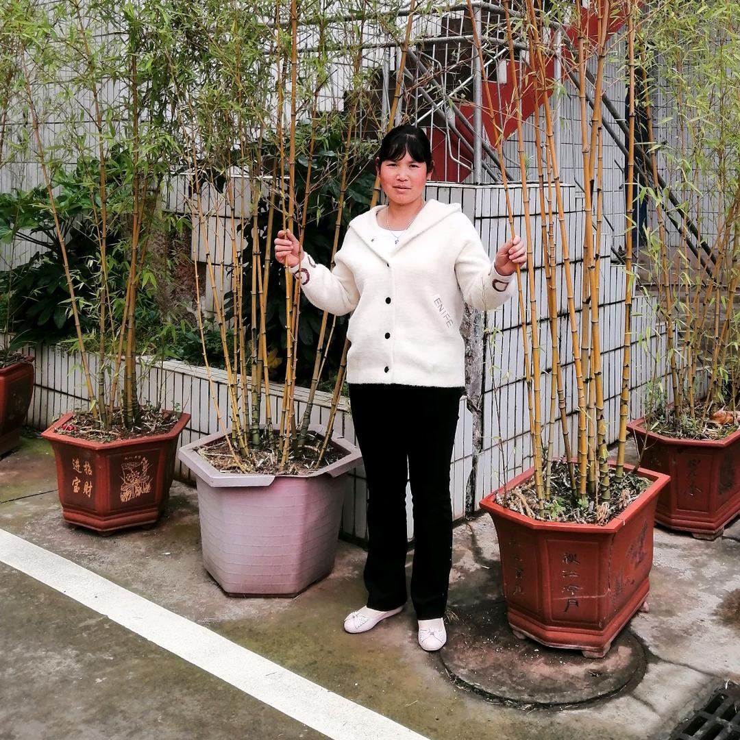 年华依旧（孔）