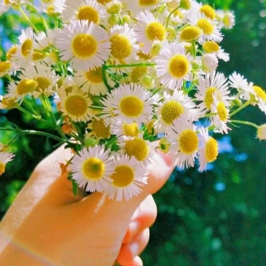 白云好物💞💞💞