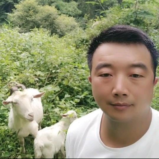 @陕南余哥