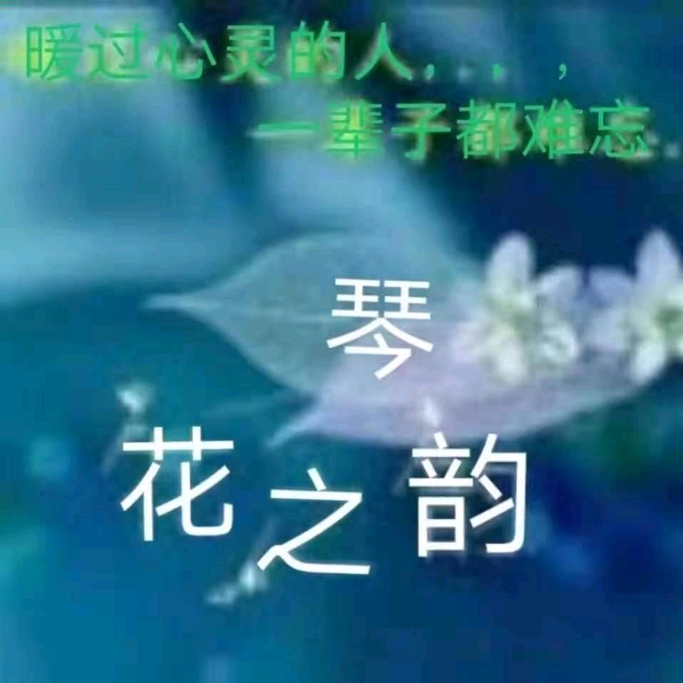 琴韵