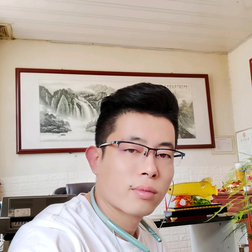 何家大少爷