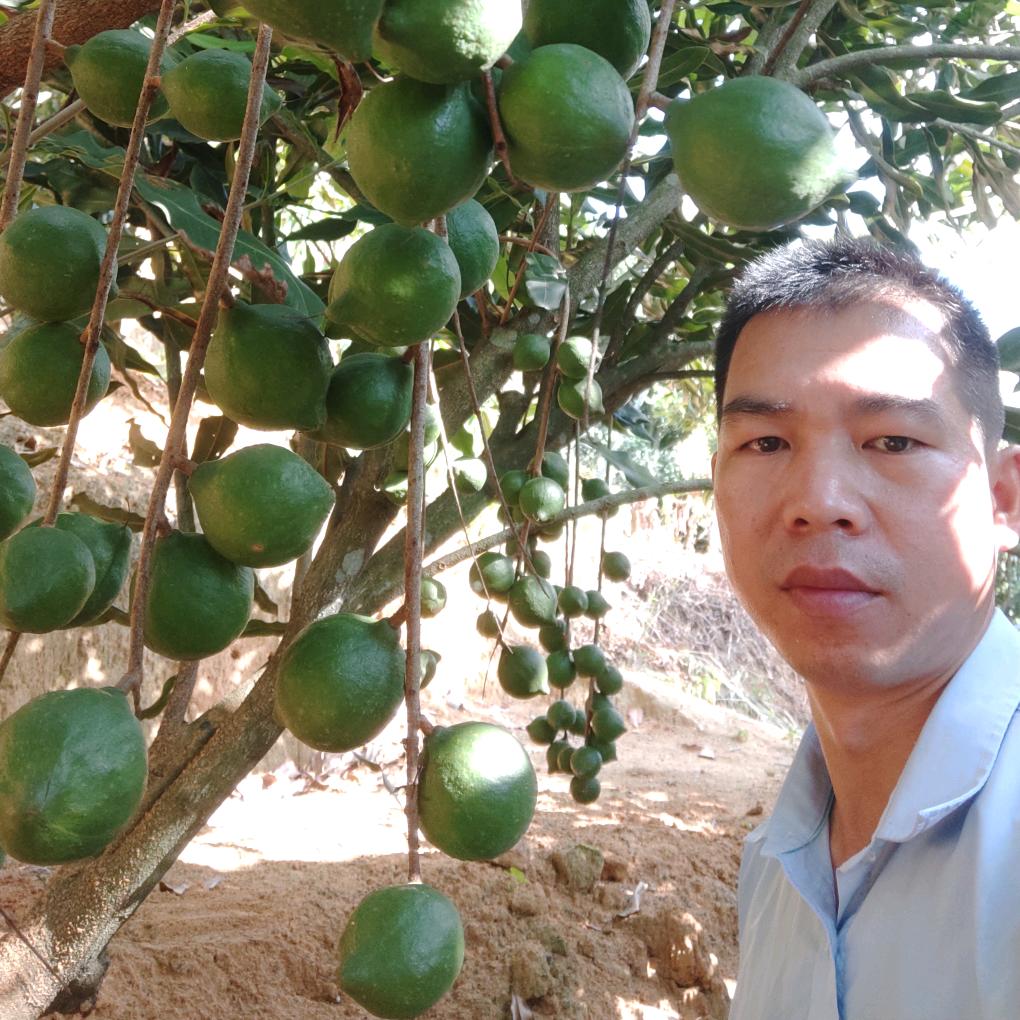 岑溪永丰坚果