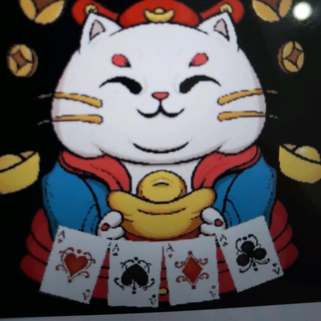 斗地主猫哥