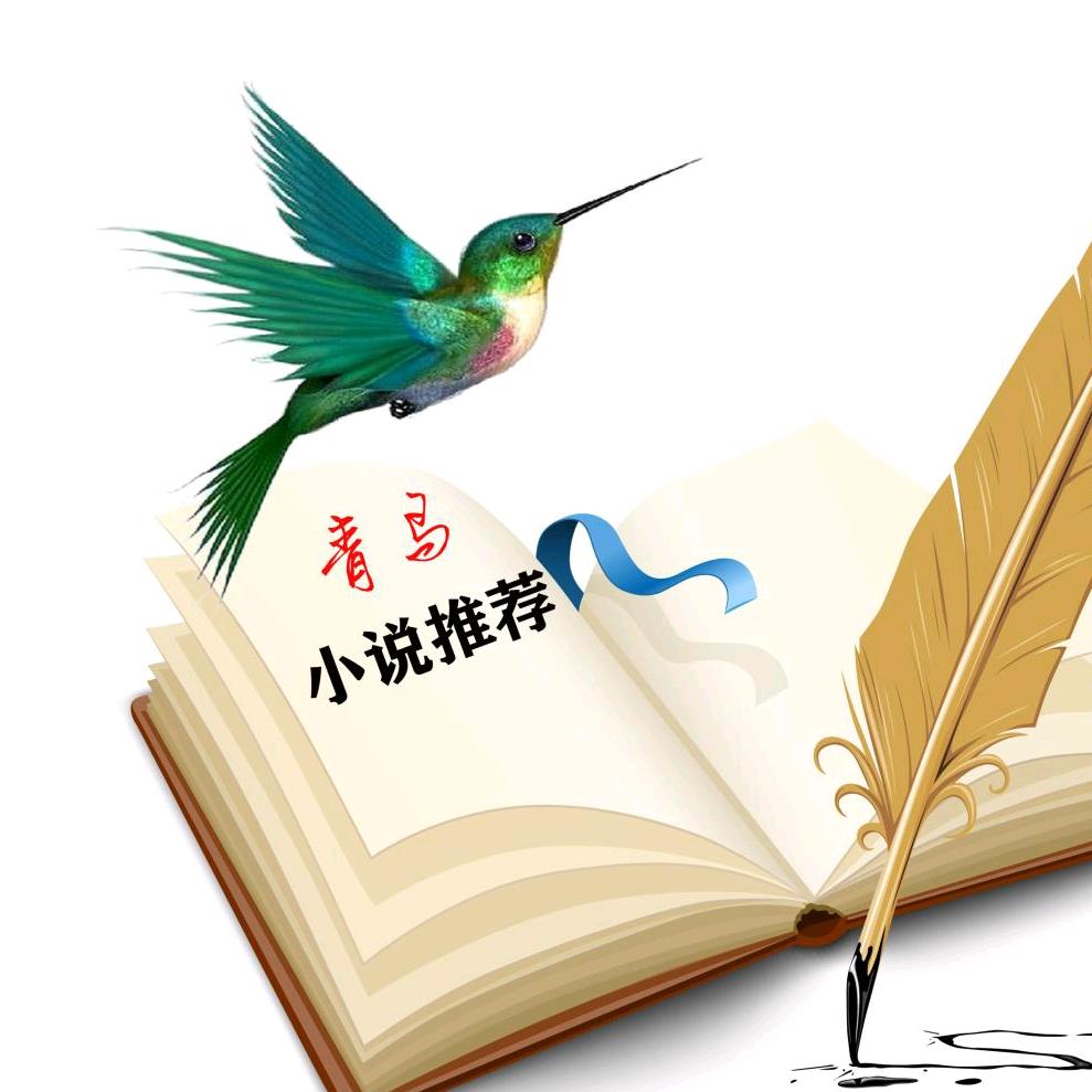 青鸟推书