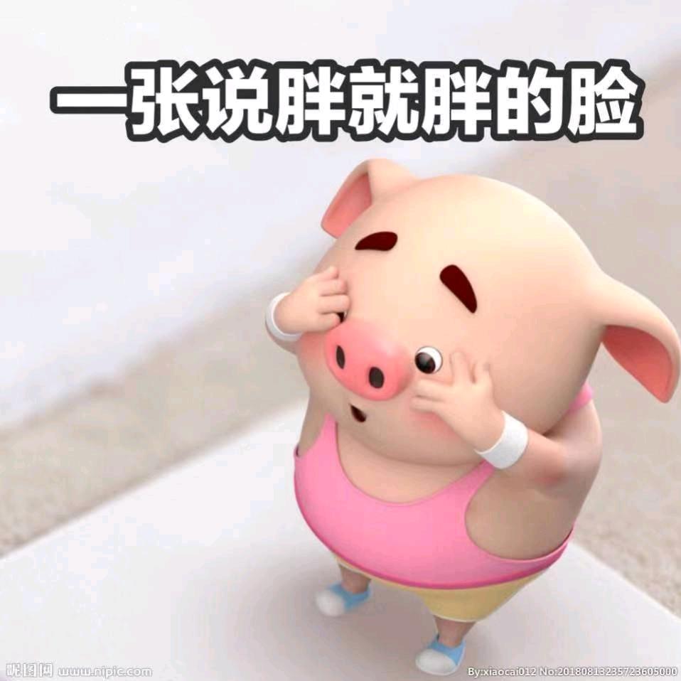 胖大叔