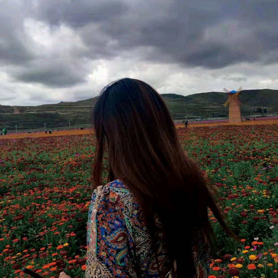 顺姐财姐👌👌🎉🎉🌹🌹