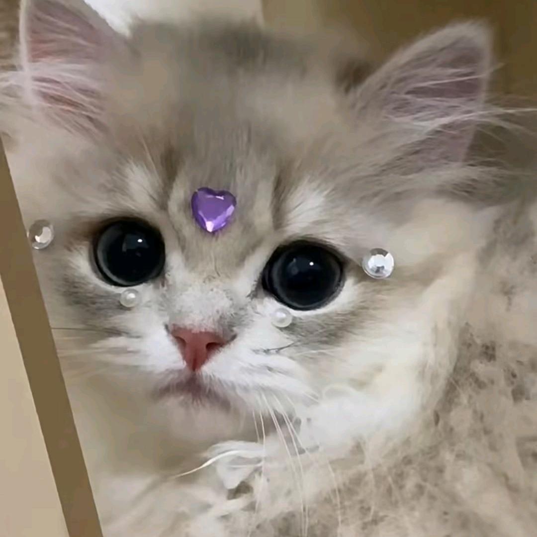 🇨🇳八方来财超级幸运富贵吉祥✨