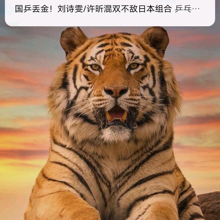 好好干活