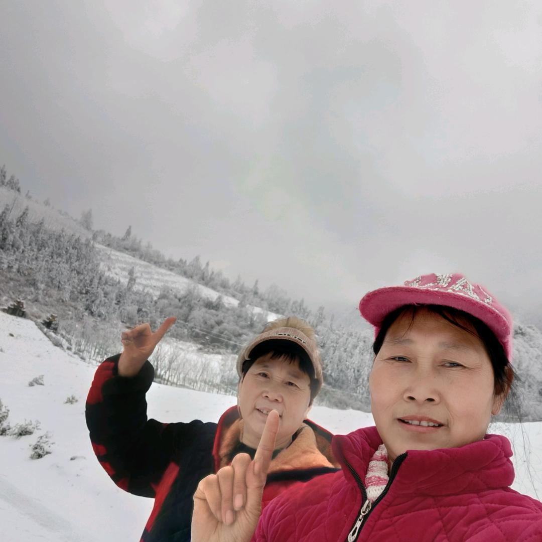 唐彩红