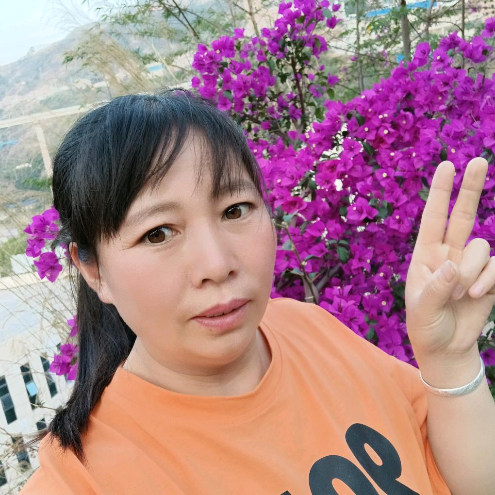 我是农村王大姐
