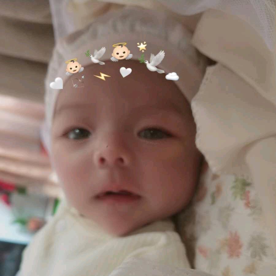 Ｏ(≧▽≦)Ｏ 宝宝乐