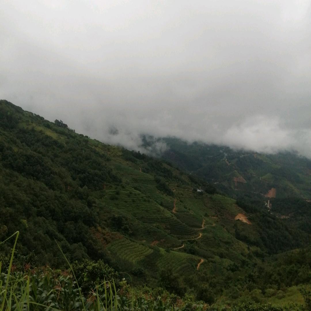 山咔啦
