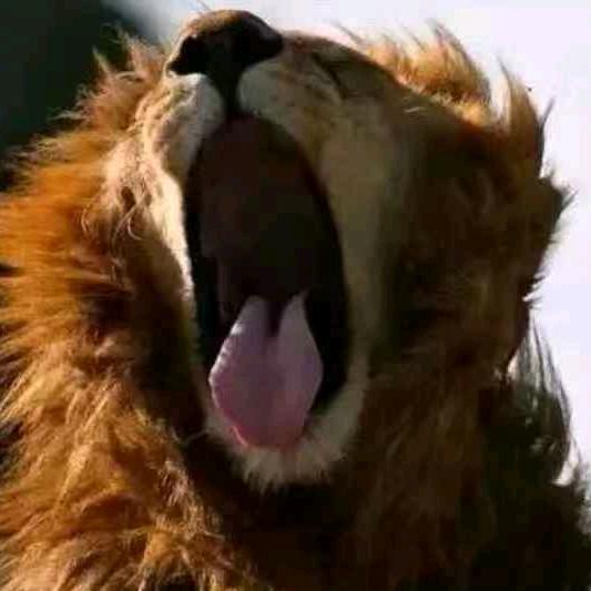 A、雲岡-导弹《尊》、、、