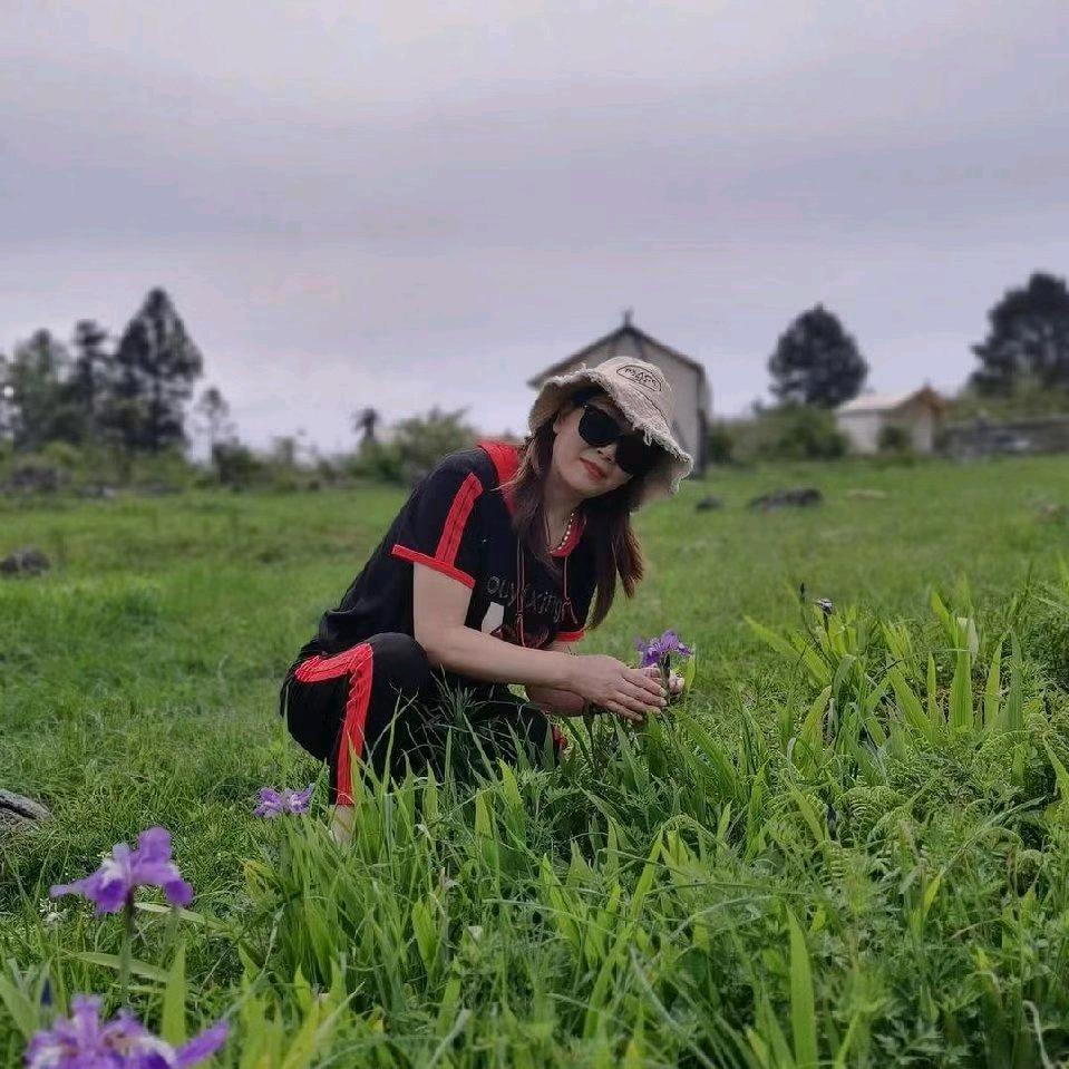 雅菊
