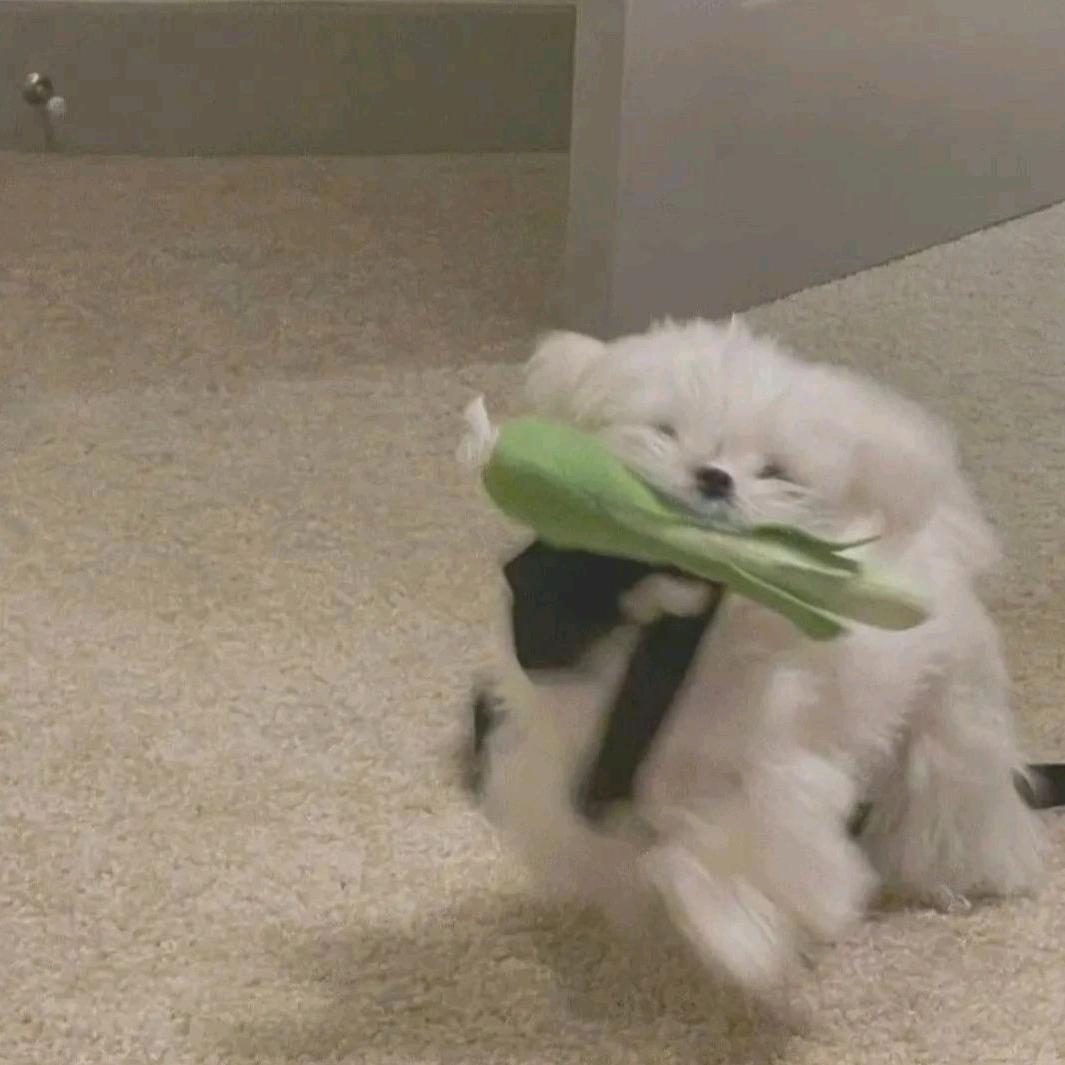 是syyy吖