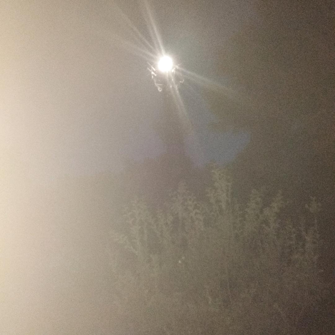 华师