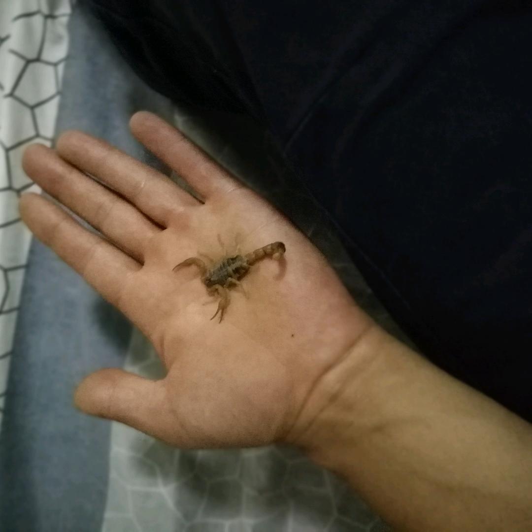 等待