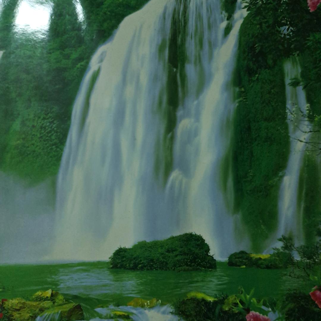 欧阳师傅总教练