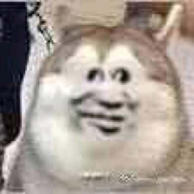 久蛋