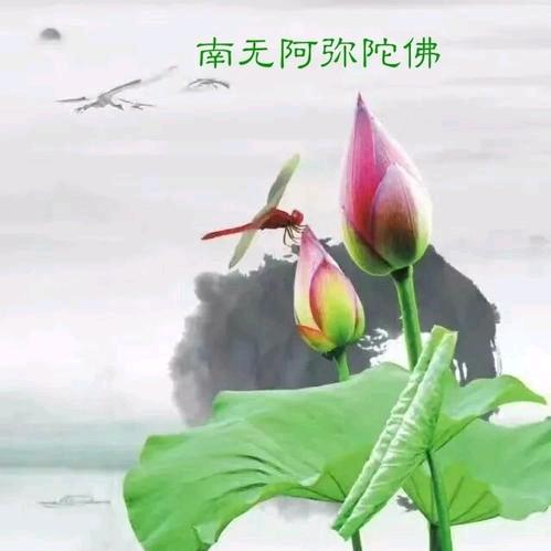 小米