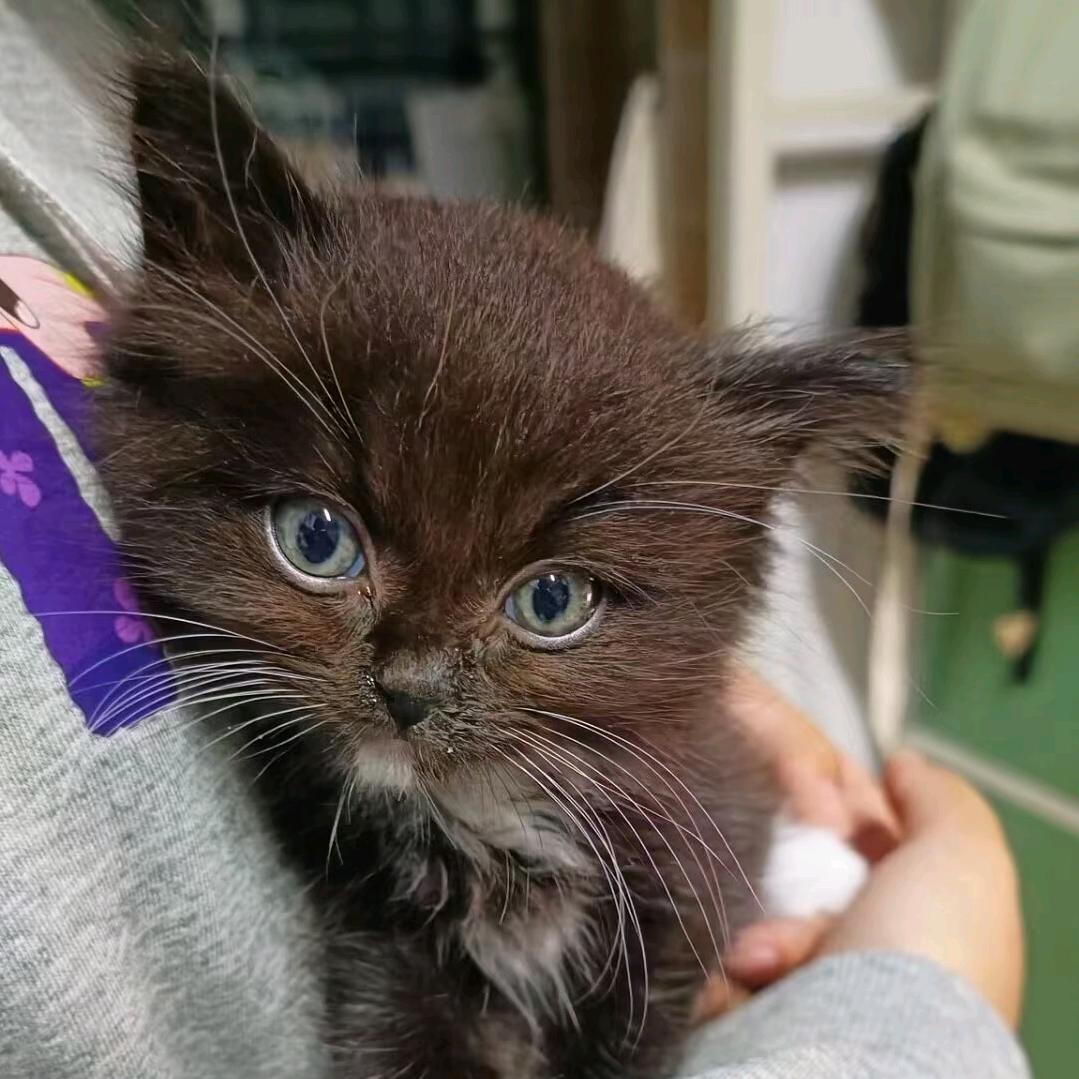天涯明月头像
