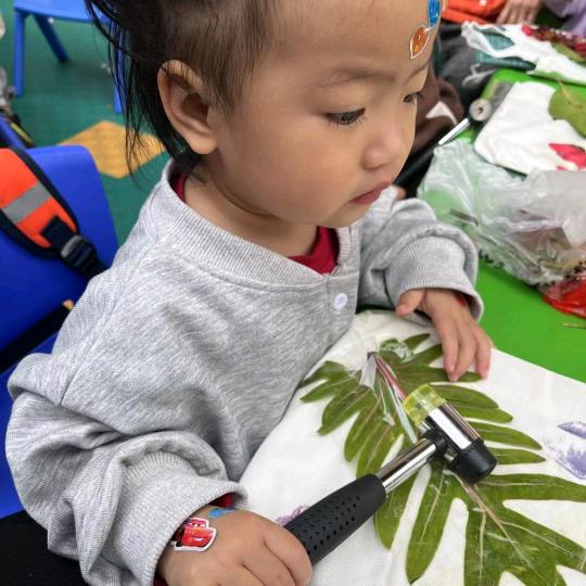 两个孙子的奶奶