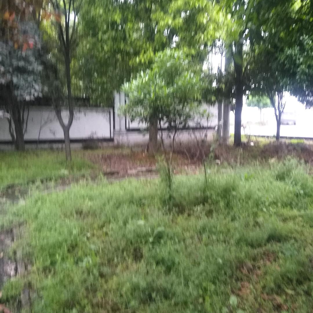 刘哥