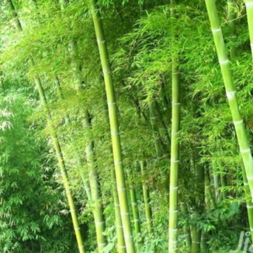 通讯好友