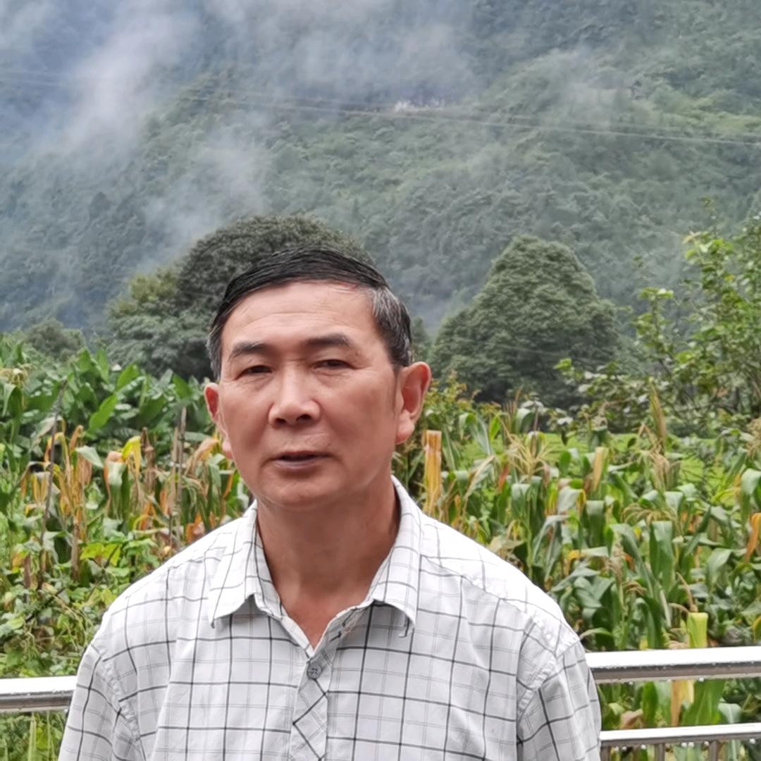 孔军农汇