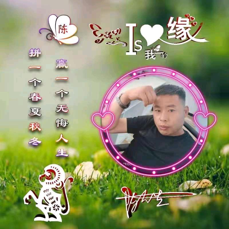 陈：