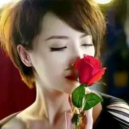 大东海头像