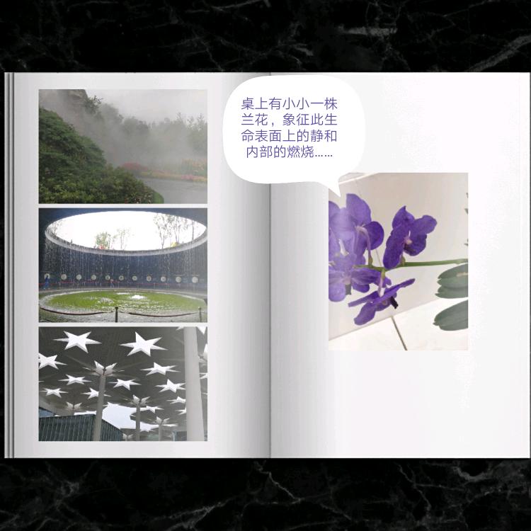 荷塘月色雅