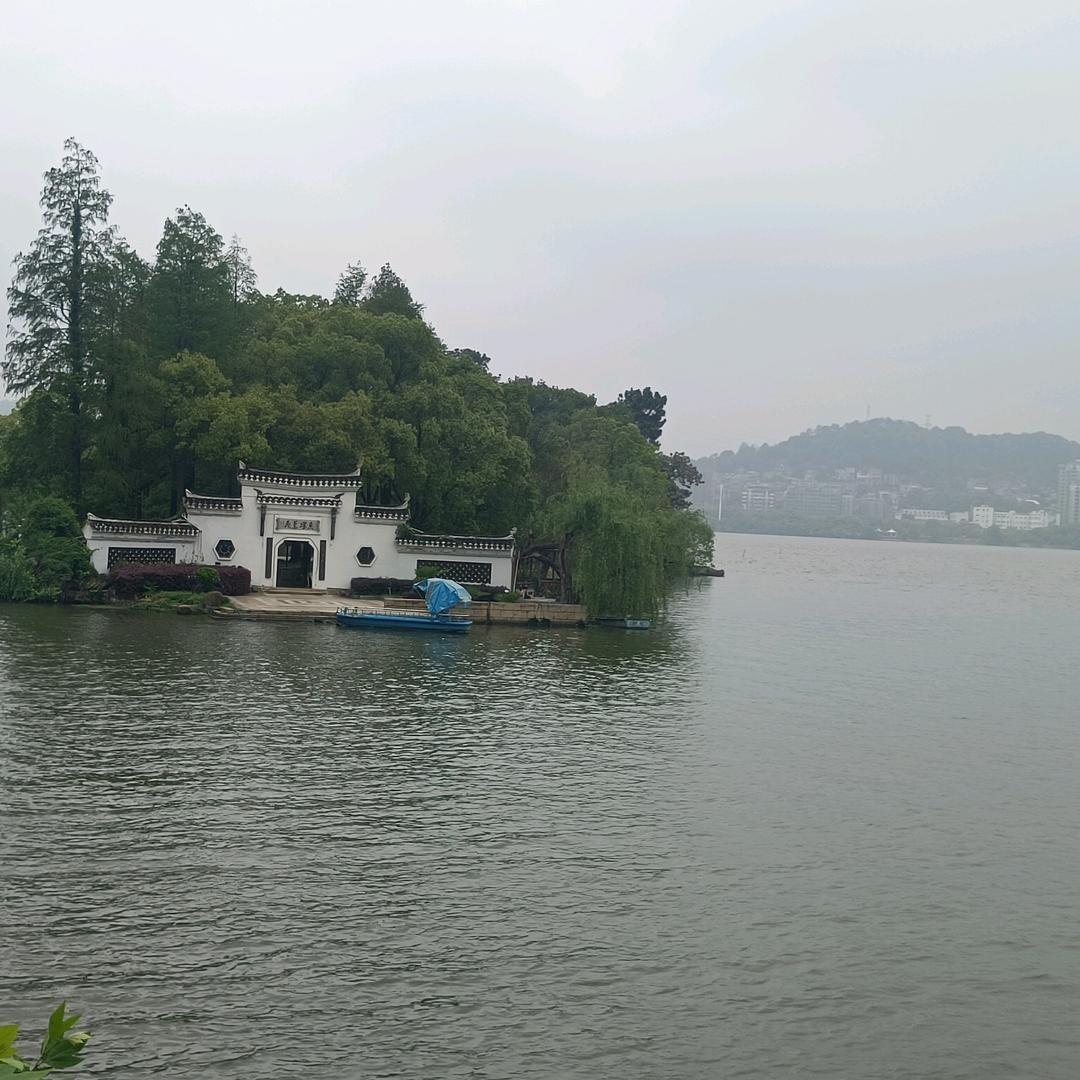 风阑珊