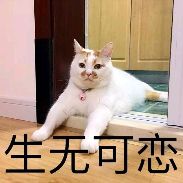 MK丶