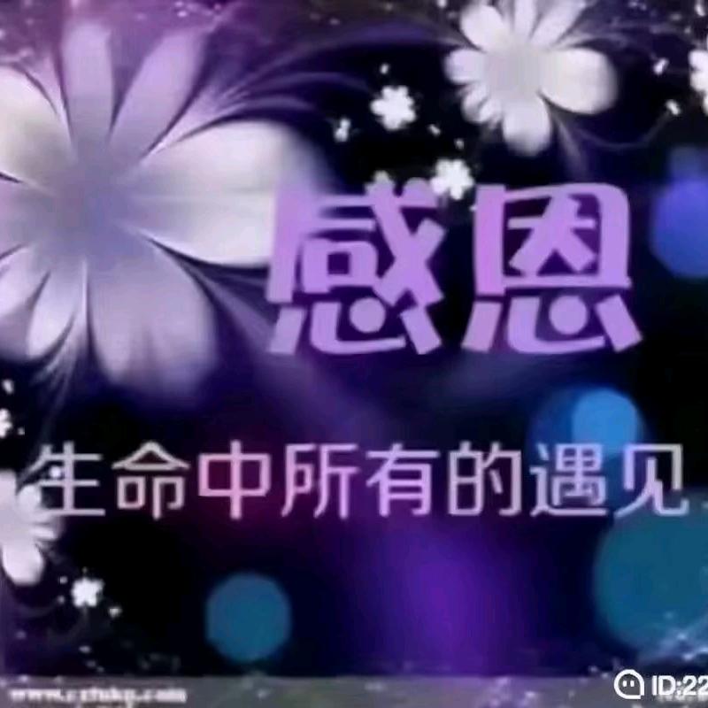 用户7332934112114祥云