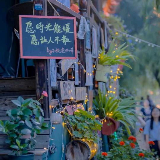 、世子不是真无敌