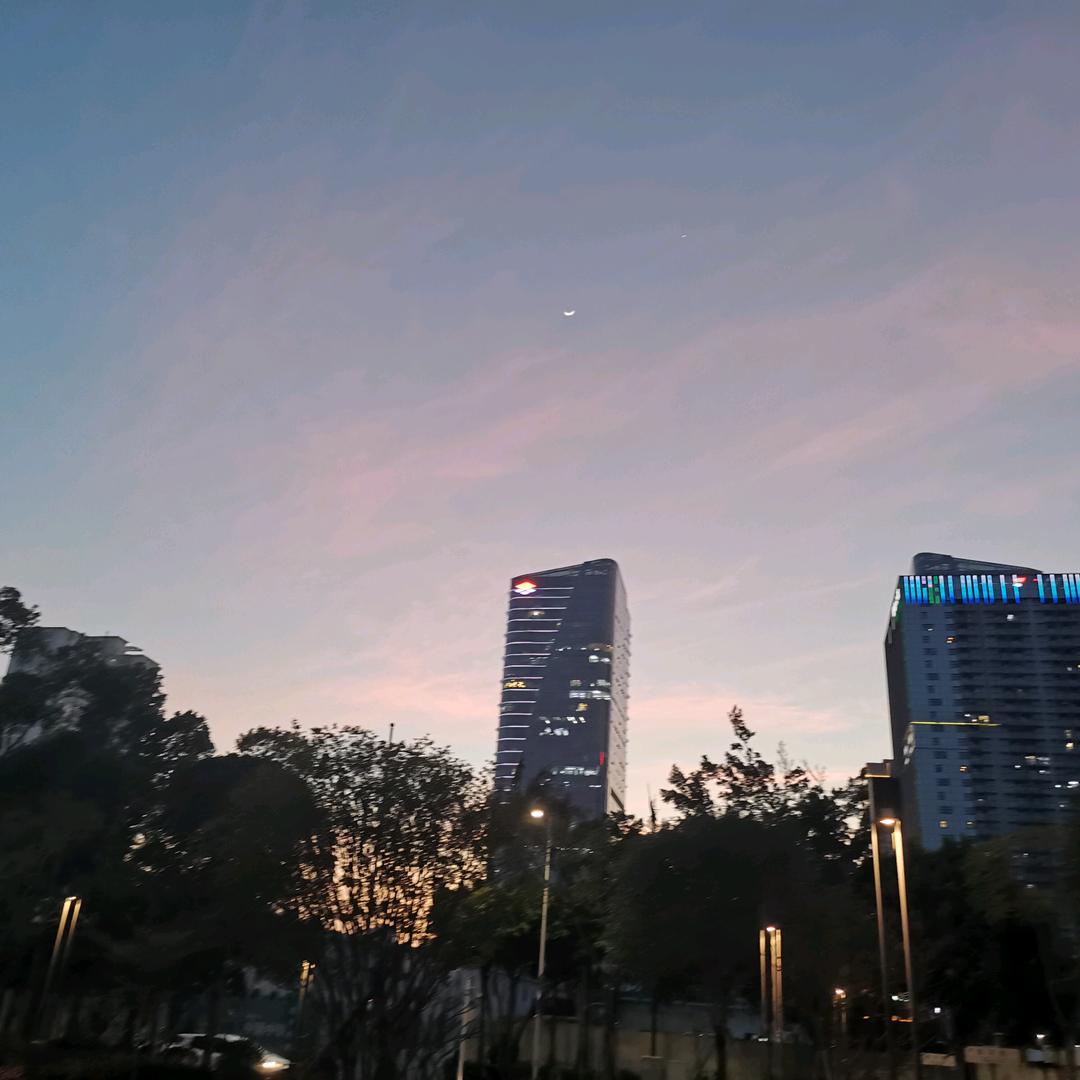 杨细根
