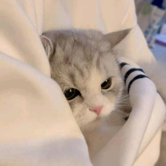 一口一个不丢