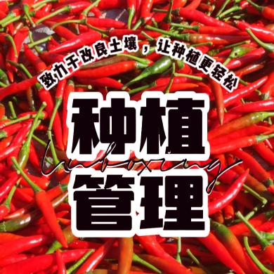 保亭三道德满田农资店