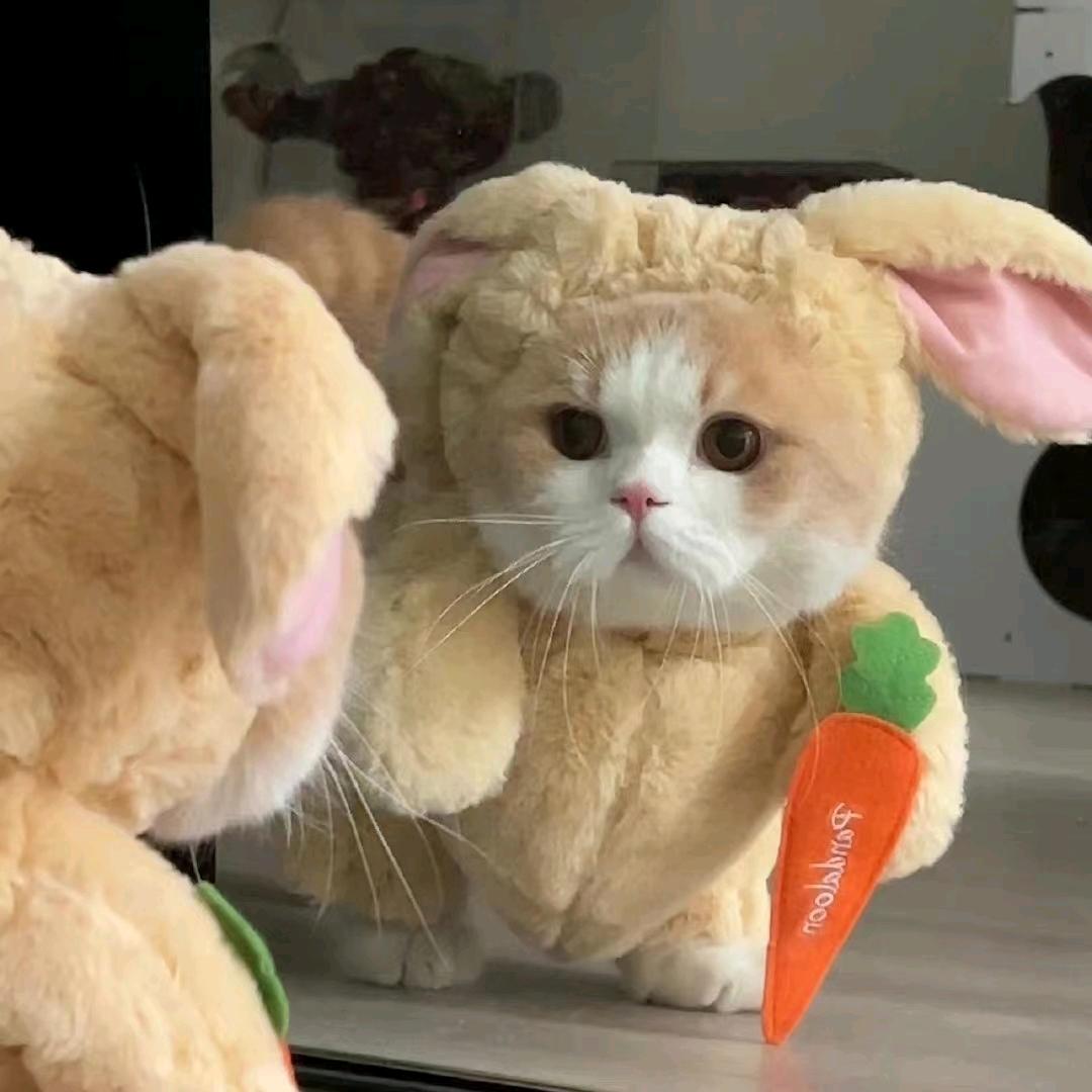 温妤