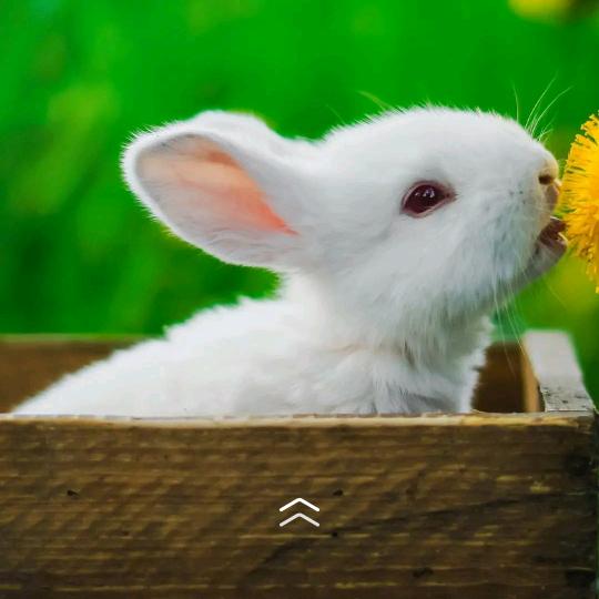 预╭(╯ε╰)╮谋